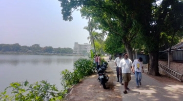31 trees to be cut to make way for govt resort project in Faridpur