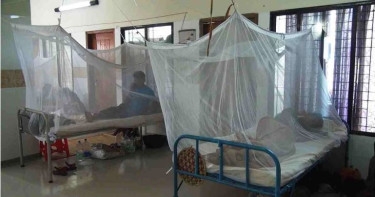 17 dengue patients hospitalised in 24hrs