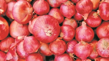 Will Onion Make BJP and Allies Elated or Teary-Eyed in Election?