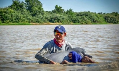 Two endangered pink dolphins rescued from shallow Colombia river