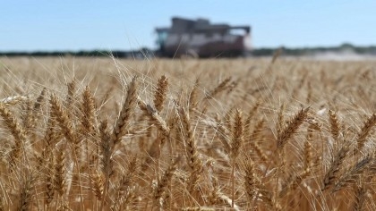 Russian Foreign Ministry Says Grain Deal Fails, West Sabotaging Russian Part of 'Package'