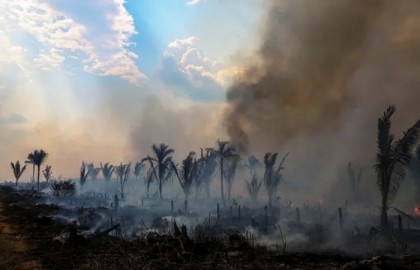 Record deforestation in Brazilian Amazon in February