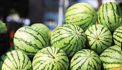 Watermelon from Bangladesh exported to Malaysia by air-conditioned container first time