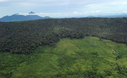 Amazon forests save $2bn in pollution healthcare: study