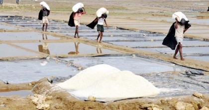Salt production breaks 62-year record: BSCIC
