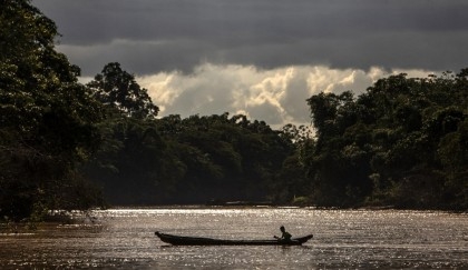 'Patrol' film exposes Nicaragua forest threat from beef industry