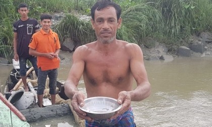 Mother fish release eggs in Halda River