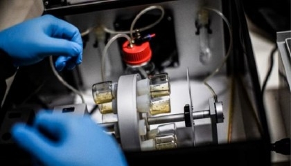 Lab-grown human embryo models spark calls for regulation