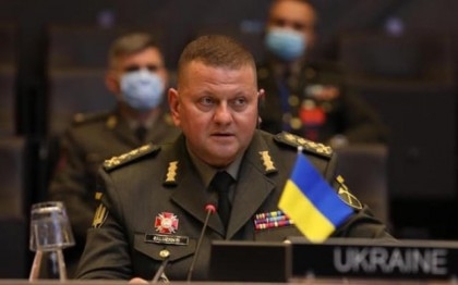 Ukraine's top general urges more arms for offensive: media

