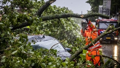 'Strongest summer storm' batters Netherlands