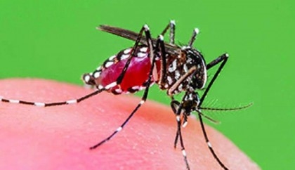 2 constables die of dengue in Dhaka
