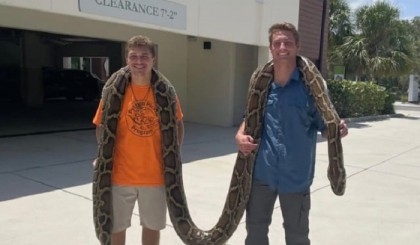 Florida man nabs 19-foot invasive Burmese python