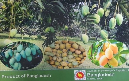 Mango Diplomacy: Spain amazed at Bangladesh's Amropali delicacy
