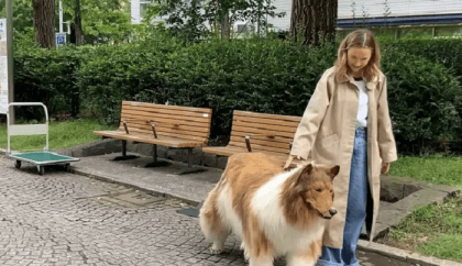 Japanese man who spent $14,000 to transform into dog takes his first walk in public