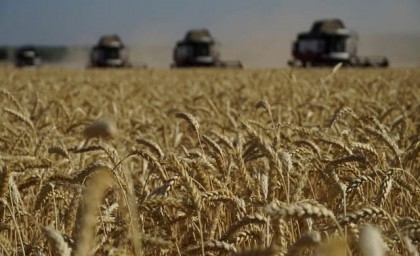 Russian Foreign Ministry lists conditions for resumption of grain deal

