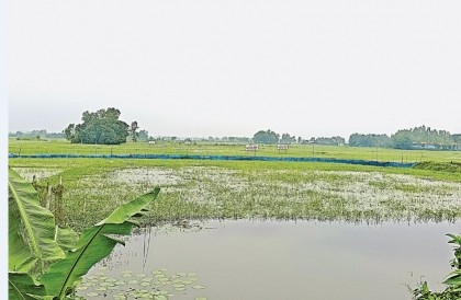 Encroachment on Arial Beel goes on unabated