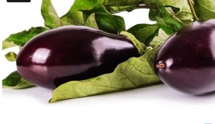 Healthy bones to cancer prevention: Wonderful benefits of eggplant