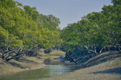 Ban on travelling Sundarbans lifted