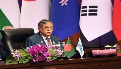 President seeks urgent global actions to solve Rohingya issue