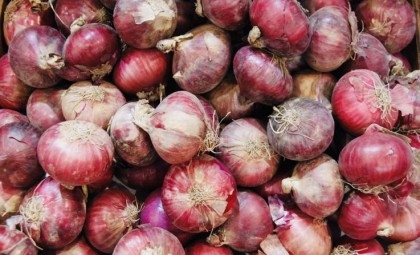 TCB to start onion sales in capital this week
