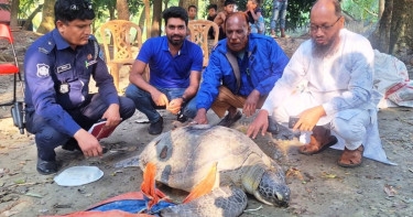 '200-year-old' sea turtle freed in Meghna River