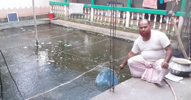 Biofloc fish farming brings success for Momin
