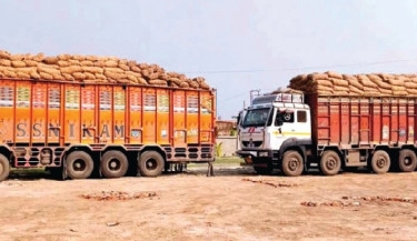 Onions rot at border after India’s export ban