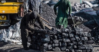 Russian coal exports to Southeast Asia surge by nearly 50%