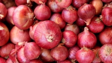 India extends ban on onion exports indefinitely