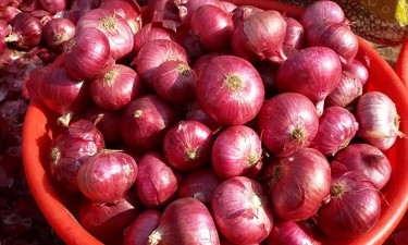 Govt to import 50,000 tonnes of onion from India