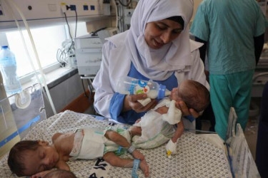 5,000 potential lives lost after Israeli strike on Gaza fertility hub