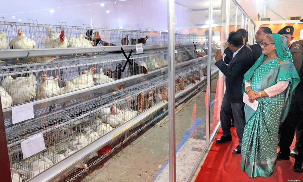 PM opens Livestock Services Week and Fair