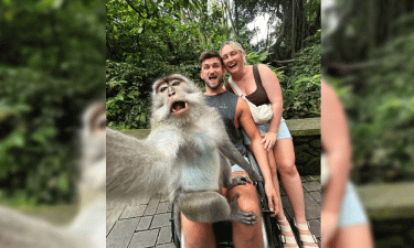 Tourists stunned by selfie-taking Monkey in Bali