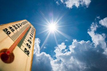 Extreme heatwave may linger until May: BMD official