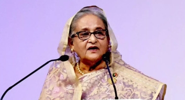 Bangladesh taking up long-term programmes to tackle climate change impacts: PM Hasina