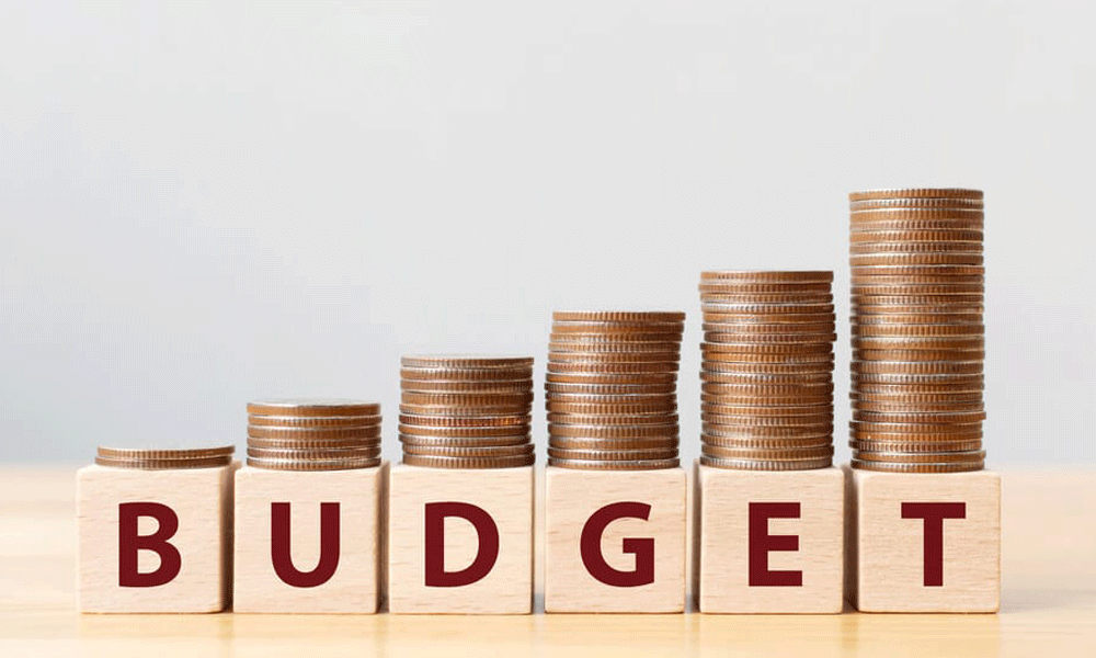 64% of citizens have zero expectations from upcoming budget: Survey