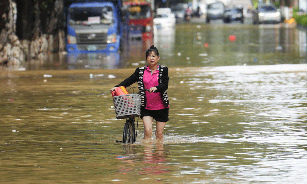 A woman walks her bicycle through a street flooded by heavy rains from Typhoon Sanba in Maoming, in China’s southern Guangdong province on October 21. Photo : AFP