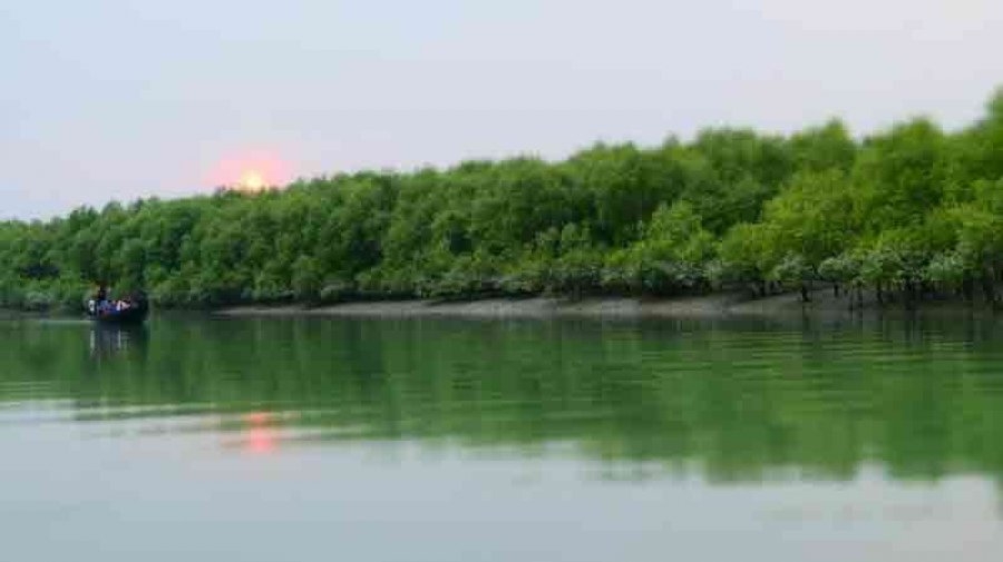 Sundarban Tourism