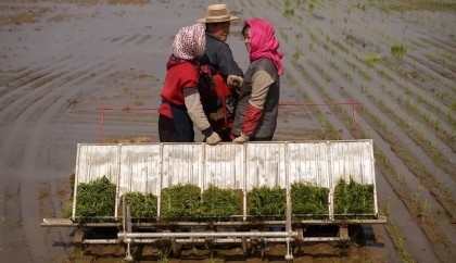 North Korea food crisis looms behind displays of military prowess