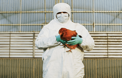 Bird flu kills 11-year-old girl in Cambodia, officials say