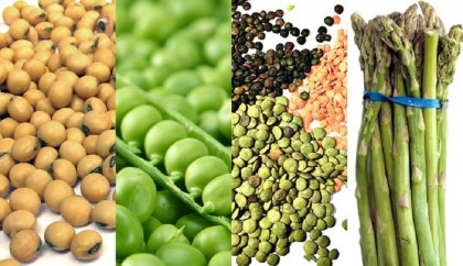 7 high-protein vegetables you must add to your diet