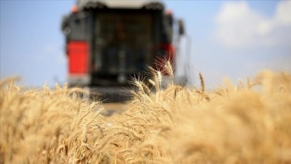 Russian, UN officials to discuss progress on grain deal in Geneva

