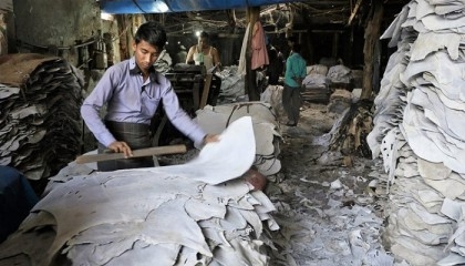 Implementation of labour laws in tannery factories stressed