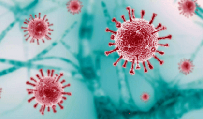 Covid-19: Bangladesh reports 87 more cases