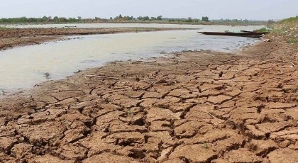 World must prepare for more intense heatwaves: UN
