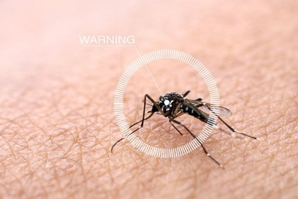 Experts warn dengue situation to deteriorate in next two months

