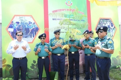 No alternative to plantation: DMP Chief 