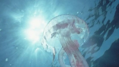 Sea surface temperature hotter than ever before


