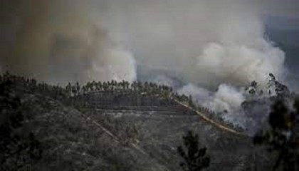 Record heat warning as forest fires rage in Spain and Portugal