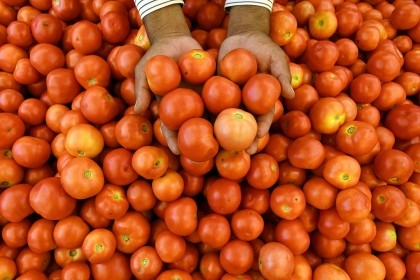 Burger King India cuts tomatoes from menu as prices soar